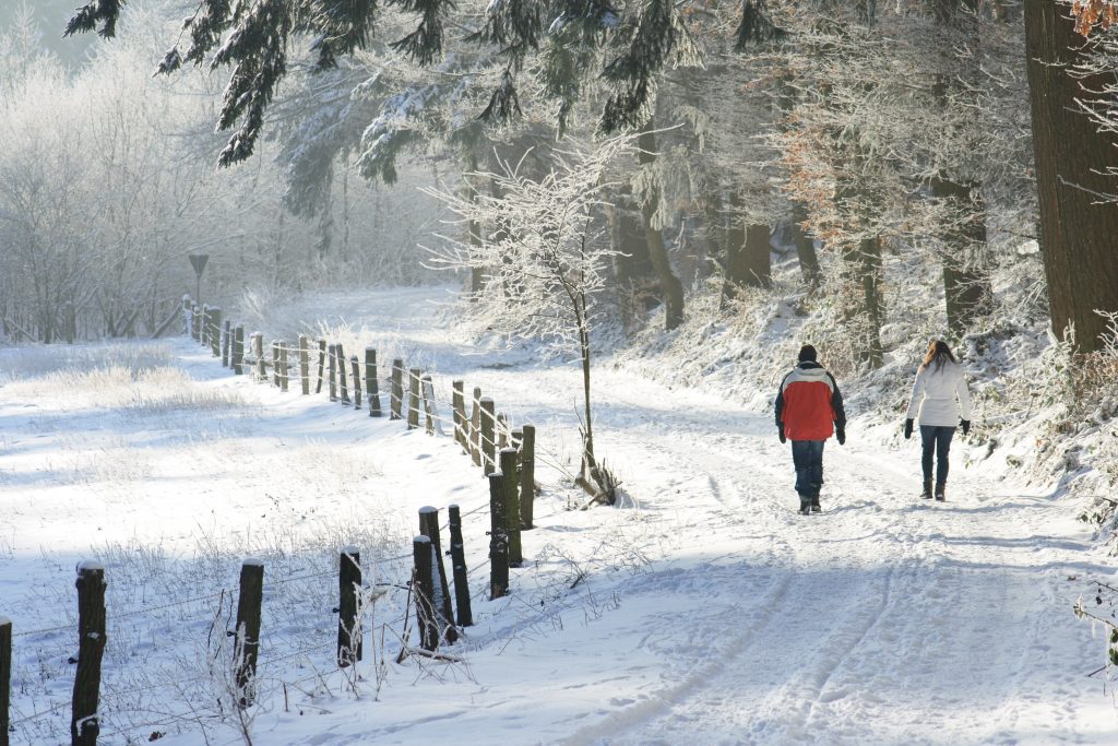 Winterspaziergang1